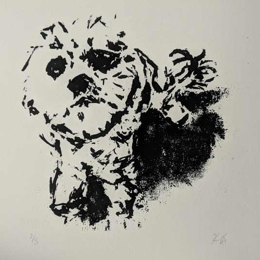 IMG_20181226_181825_550